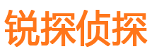 大东捉小三公司